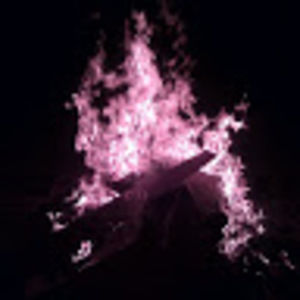 Meet your Posher, Tommy